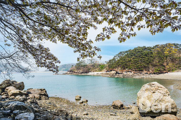 도장불해변 ⓒ Den