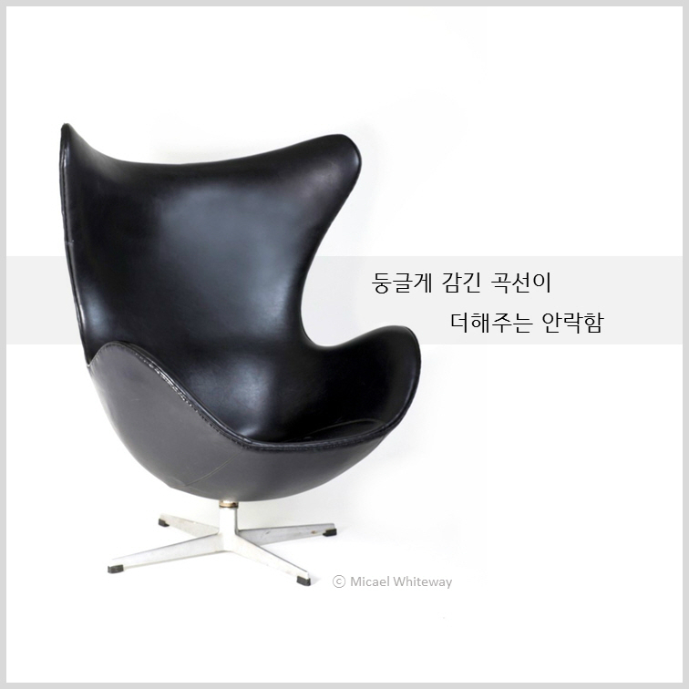 아빠곰, 개미, 계란의 공통점은?