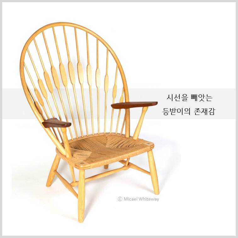 아빠곰, 개미, 계란의 공통점은?