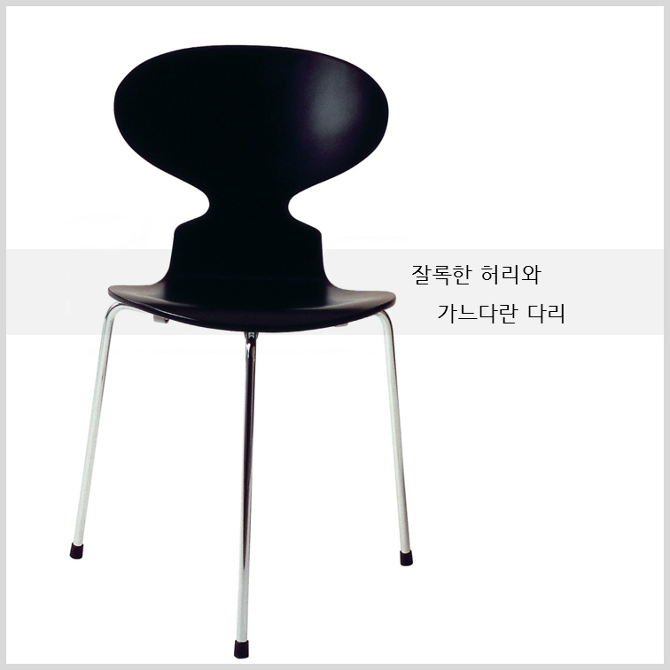 아빠곰, 개미, 계란의 공통점은?
