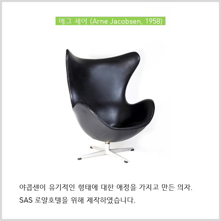 아빠곰, 개미, 계란의 공통점은?