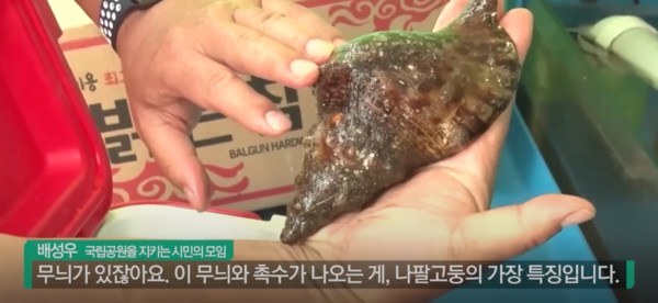 *출처=YTN '자막뉴스'