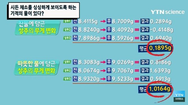 *출처=YTN 사이언스 캡쳐