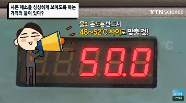 *출처=YTN 사이언스 캡쳐