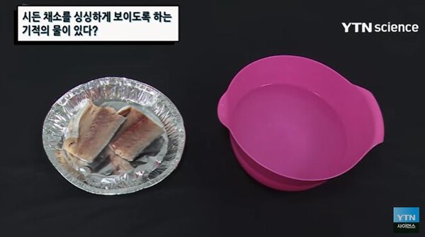 *출처=YTN 사이언스 캡쳐