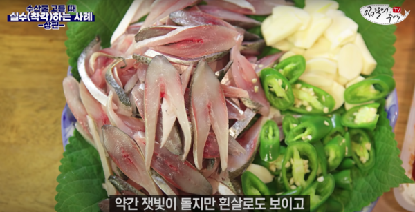*사진=전어회/유튜브 '입질의 추억TV' 영상 캡처