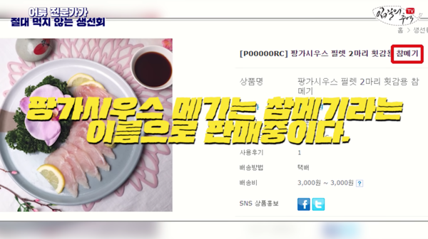 유튜브 '입질의 추억TV' 영상 캡처