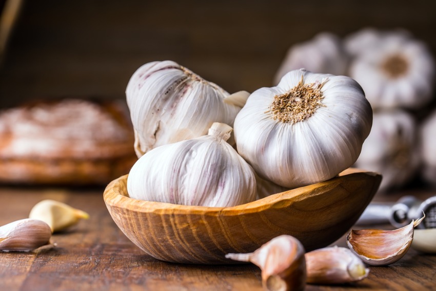 shutterstock_552242461.jpg