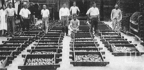 1930년경 일본 남양청 트럭섬에서 거래된 가다랑어 모습 / 위키미디어