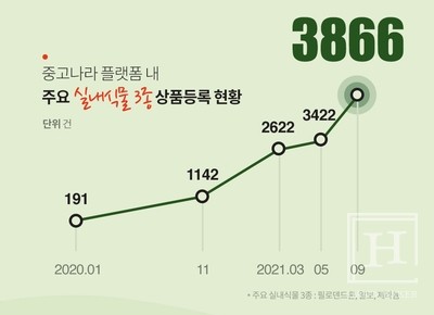 실내 식물 3종 상품등록 현황 / 중고나라 공식 카페 (https://cafe.naver.com/joonggonara)