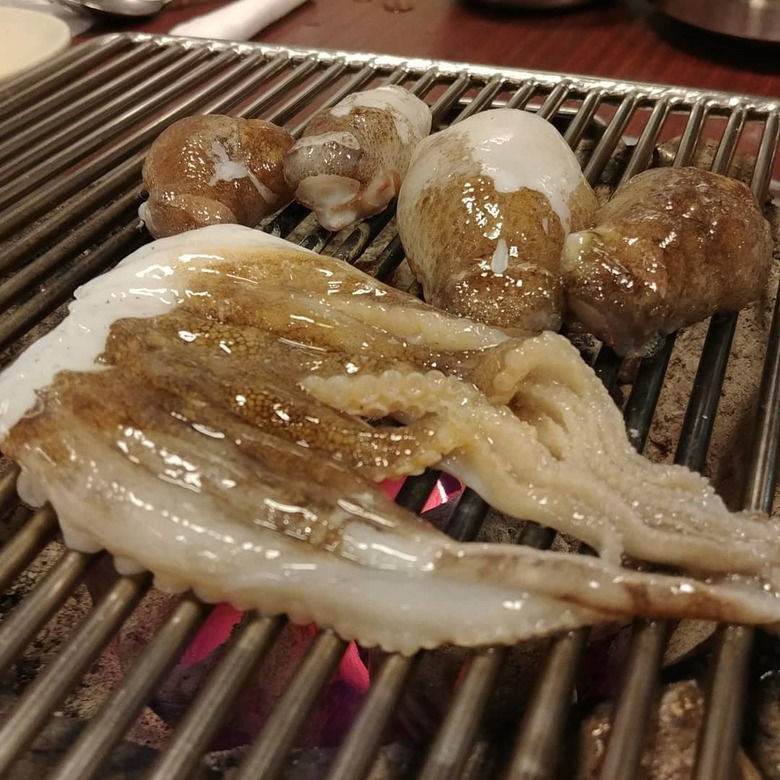 지금이 제 맛이야! 3월 제철 해산물