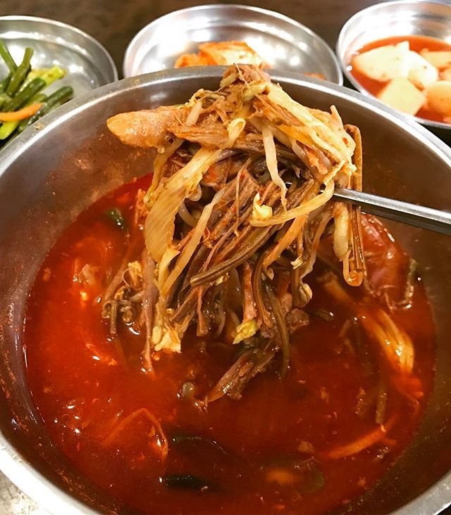 컵라면 말고 진짜 육개장! 전국 육개