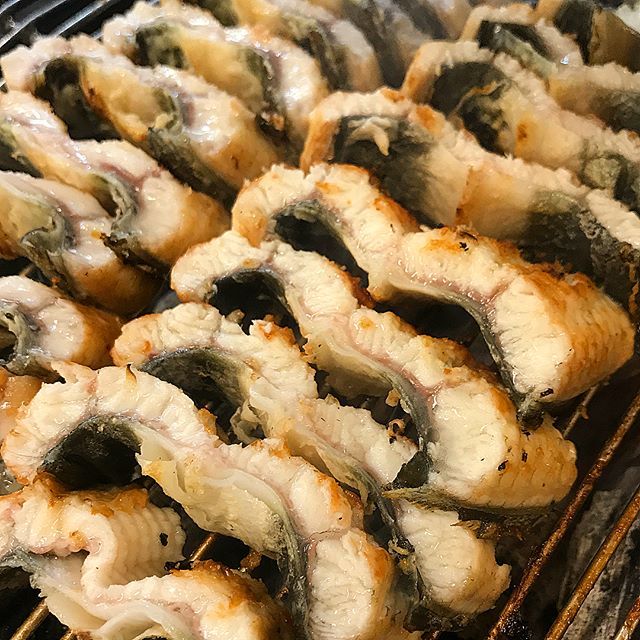 힘이 불끈! 겨울철 보양식 장어 맛집