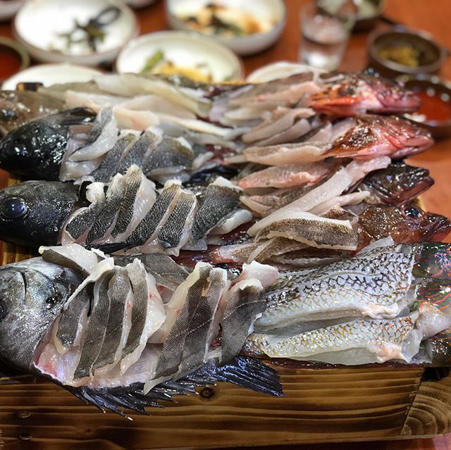 나만 알고 싶은 제주 맛집 BEST 
