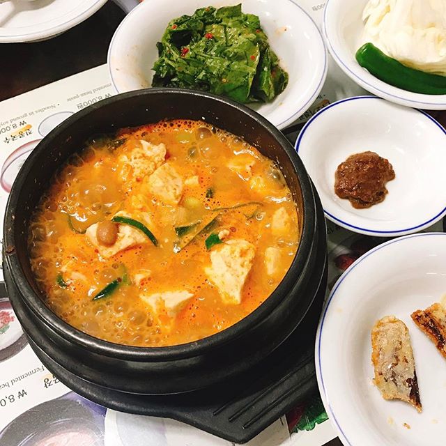 걸죽파 vs 맑은파 시원한 콩국수 열