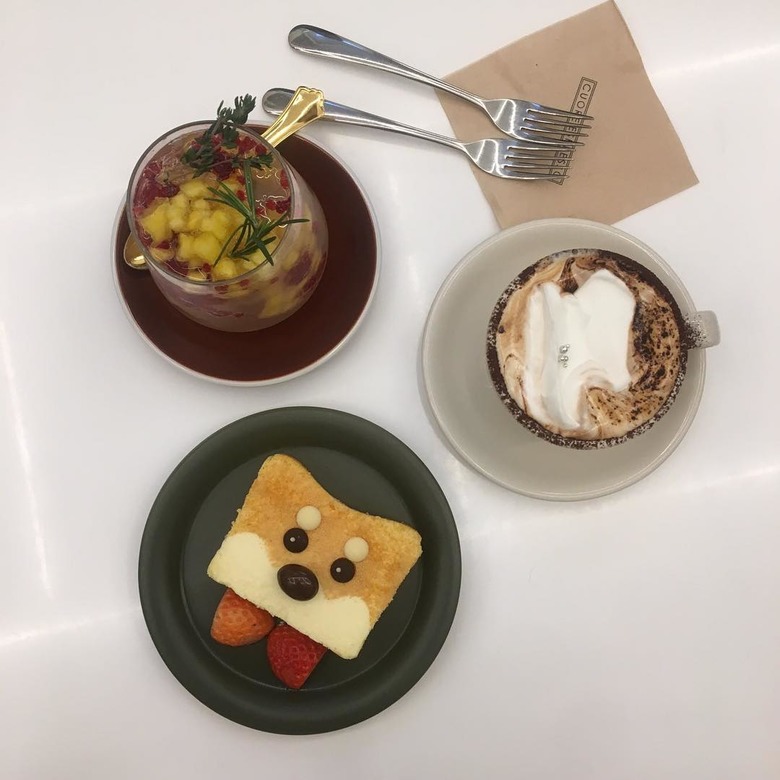 창의력 넘치는 디저트카페 BEST 5
