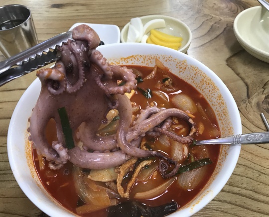 걱정을 날려주는 매콤한 한 입! 낙지