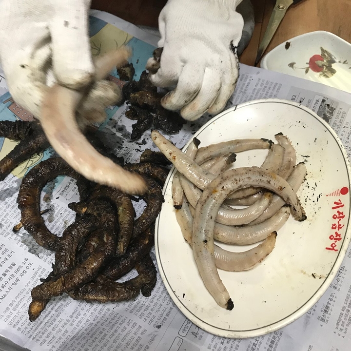 쫄깃하고 고소한 산곰장어 맛집