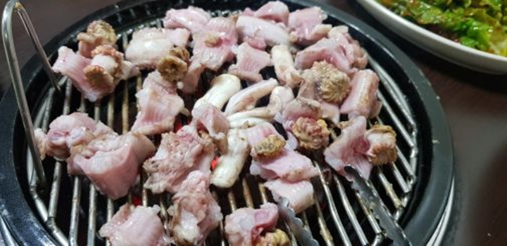 쫄깃하고 고소한 산곰장어 맛집