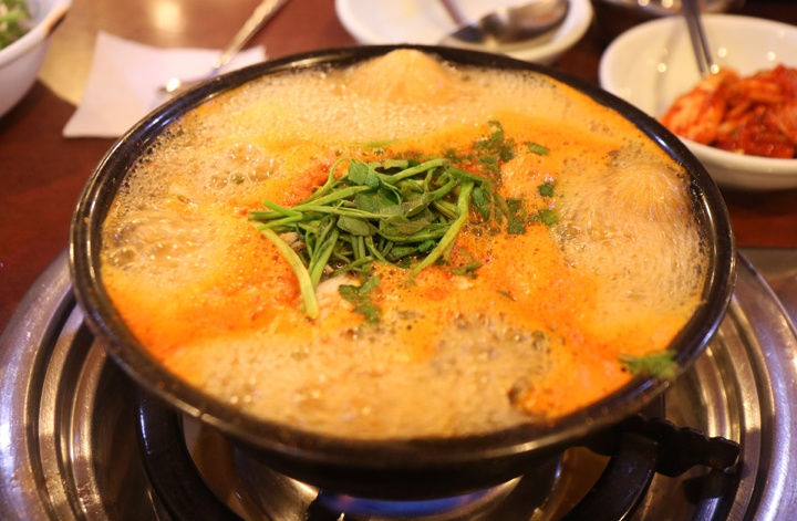 서울 세계 불꽃 축제보고 찾아가는 맛