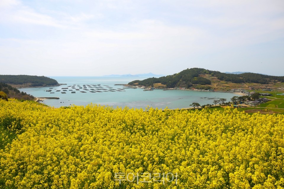 완도 청산도 서편제길