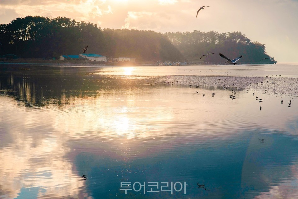 옥남리 철새도래지
