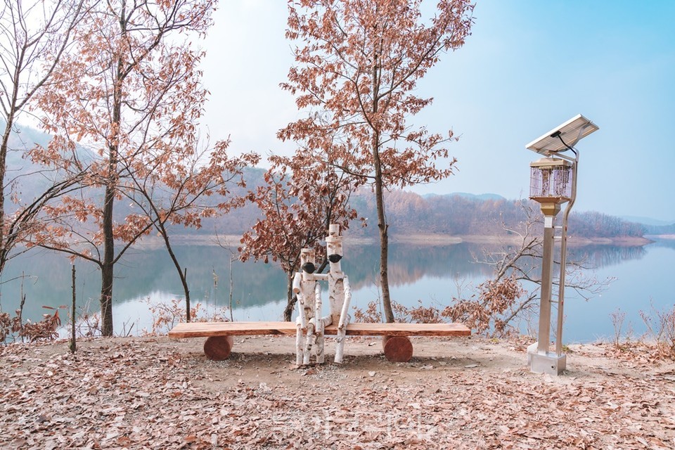 강원도 횡성호수길 5코스 가족길, 다양한 모습의 자작나무 작품