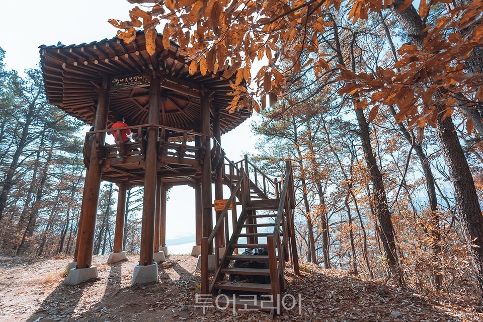 창나루전망대