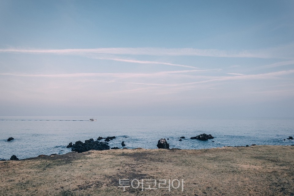 신풍 신천 바다목장