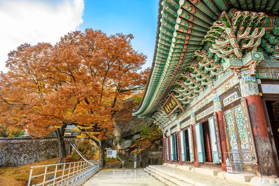 도봉산 망월사와 단풍의 모습
