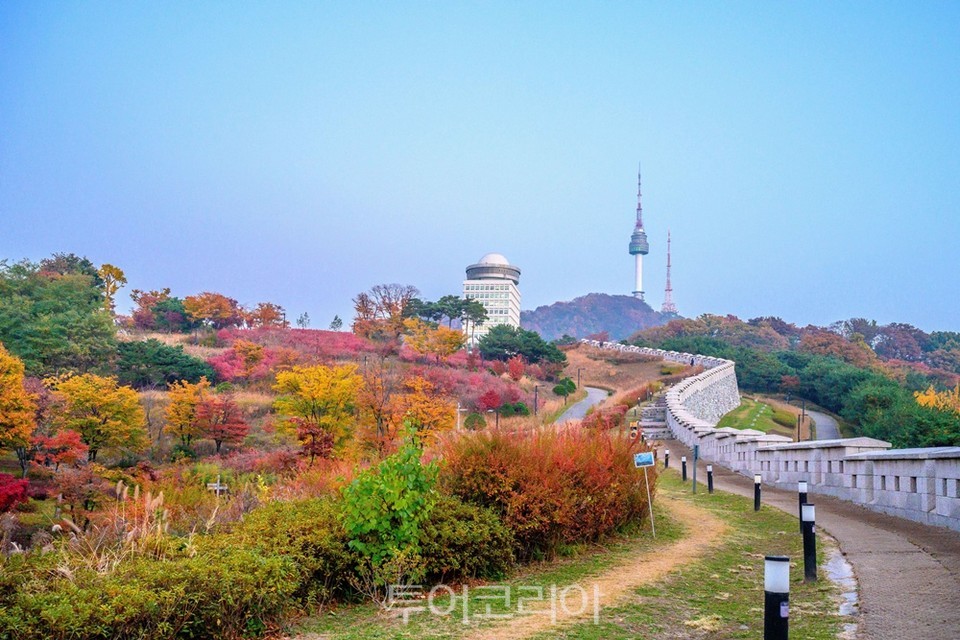 남산 백범광장에 물든 단풍