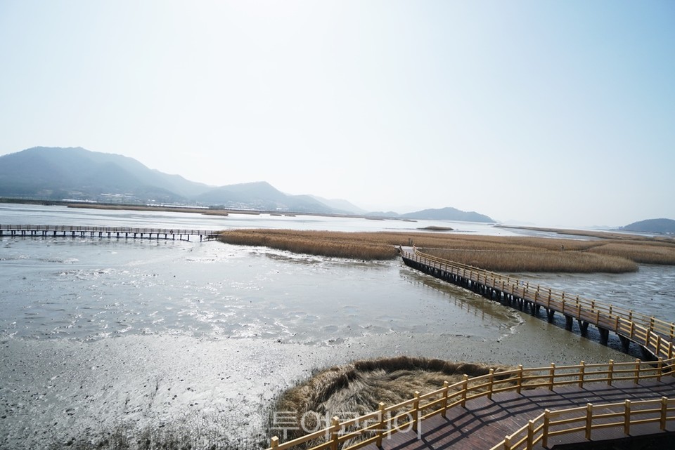 강진만 생태공원