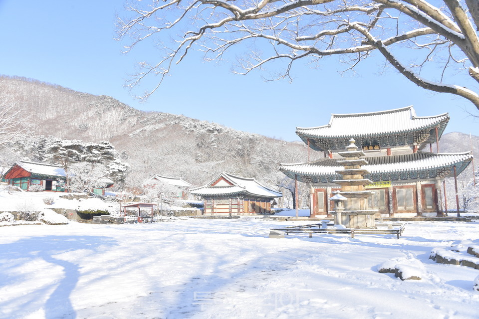 외산 무량사