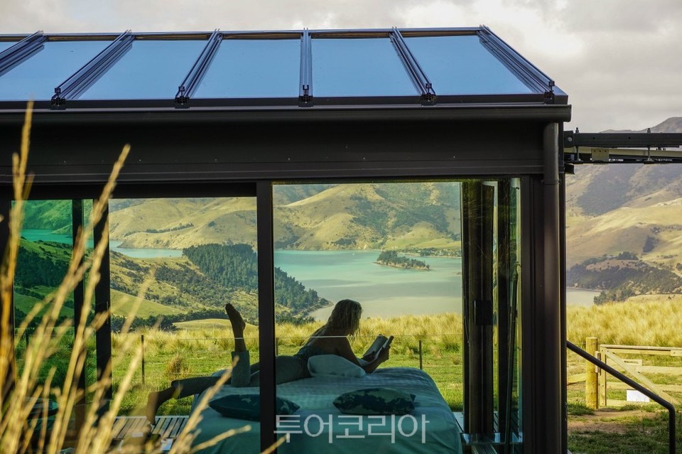 퓨어포드