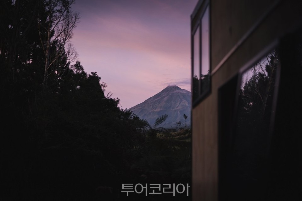 에코 이스케이프