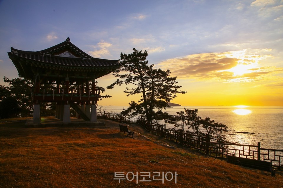 서천 동백정