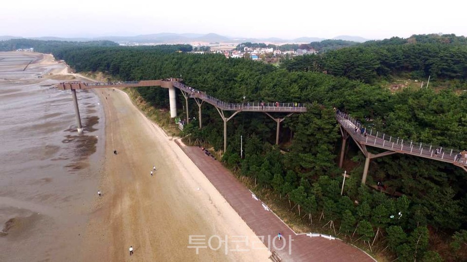 장항 ‘해찬솔길’