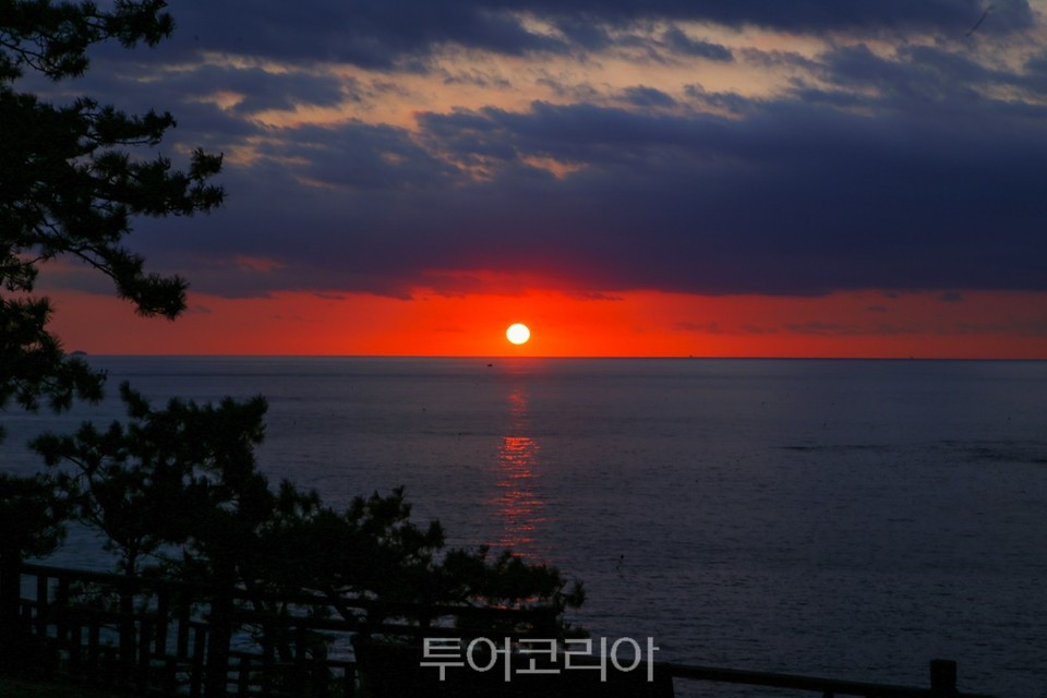 서천 동백정
