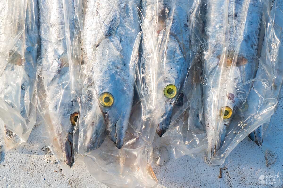 갈치 자료사진. / asharkyu-shutterstock.com