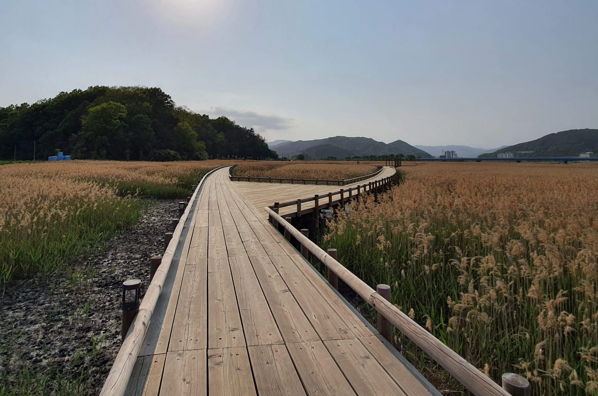벌교생태공원