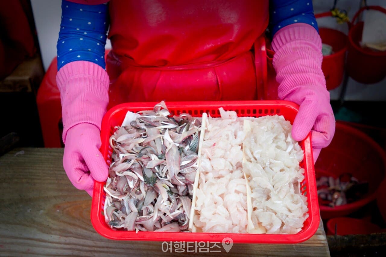 삼천포항 전어 ⓒ게티이미지뱅크