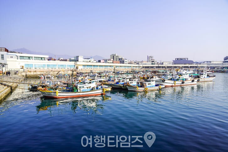 삼천포항 전어 ⓒ게티이미지뱅크