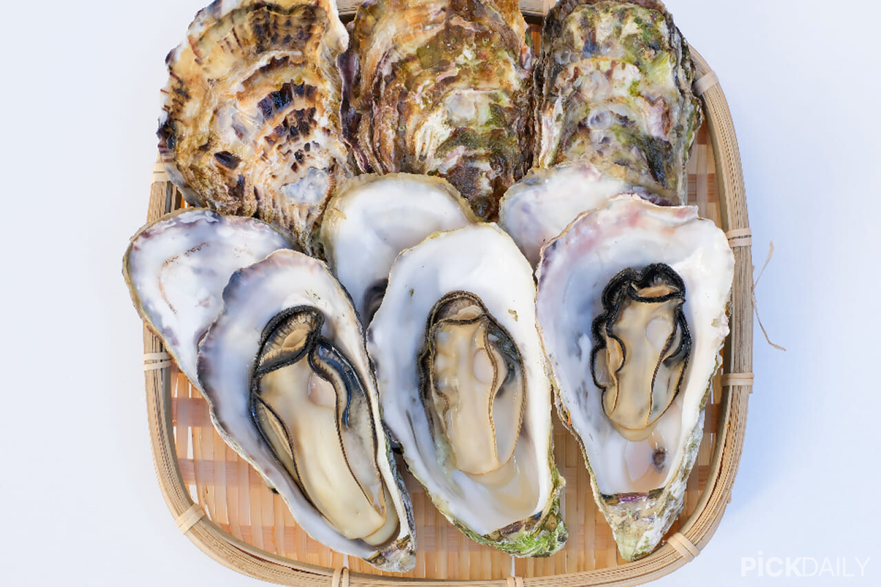 게티이미지뱅크