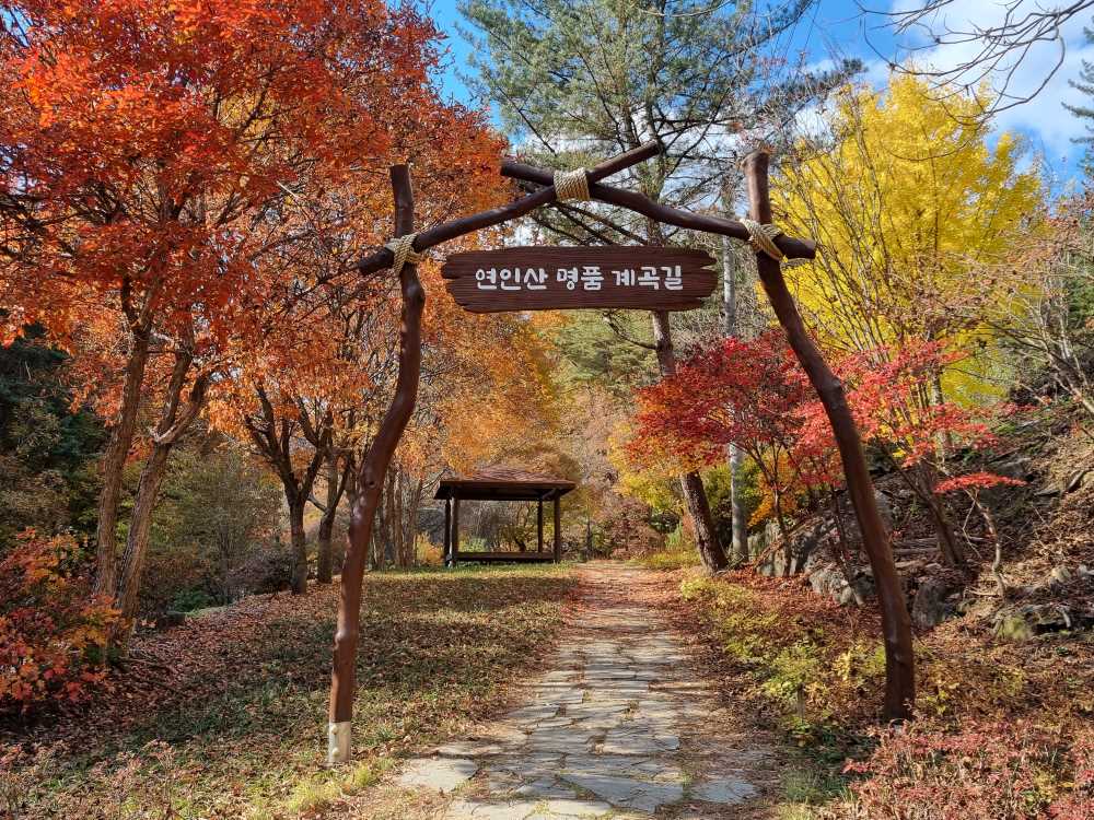 가평 연인산 명품 계곡길 / 사진=산림청