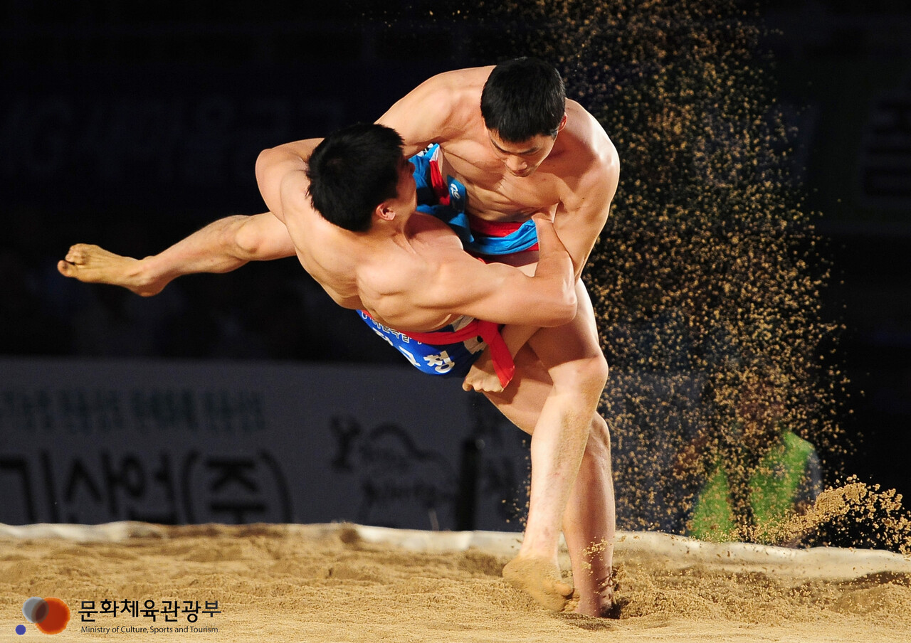 우리나라 씨름과 상당히 유사한 테구미(이해를 돕기 위한 이미지) / 사진=flickr@문화체육관광부