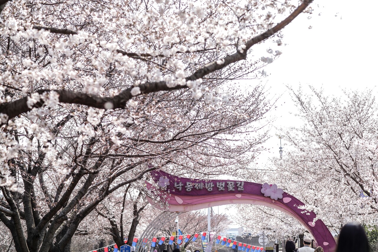 삼락생태공원 / 사진=비짓부산@부산관광공사