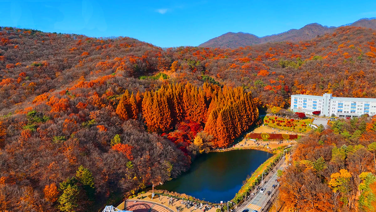 한국외대 글로벌캠퍼스 추경 전경 