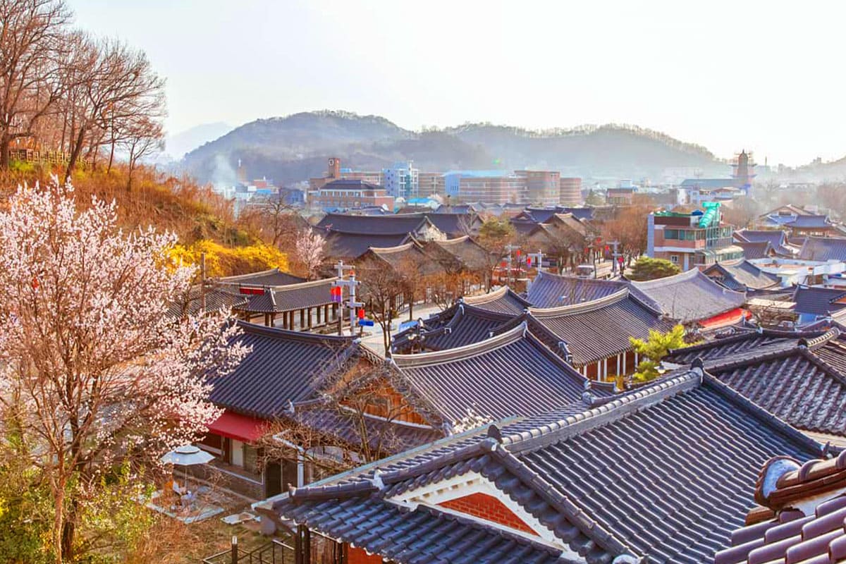 봄이 찾아온 전주한옥마을 