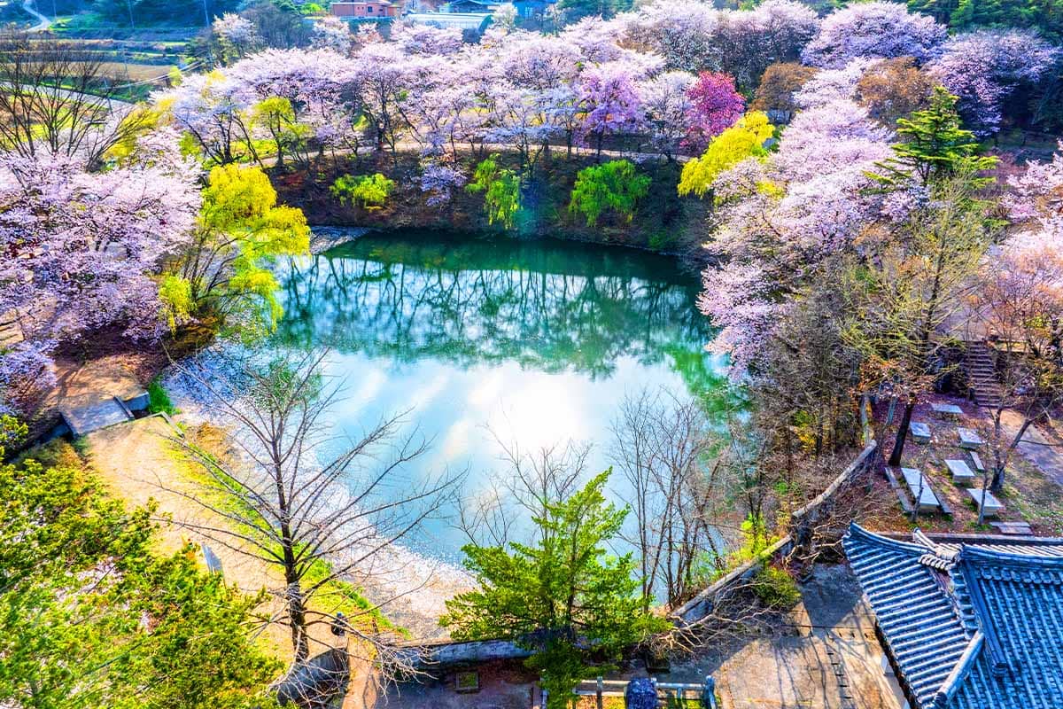 덕천서원 연못 