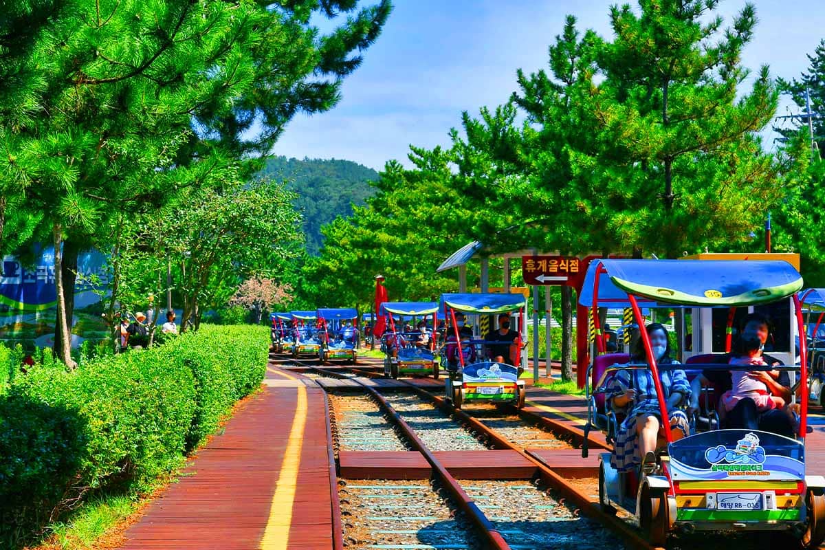 삼척 해양 레일바이크 